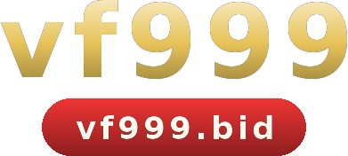 vf999 logo